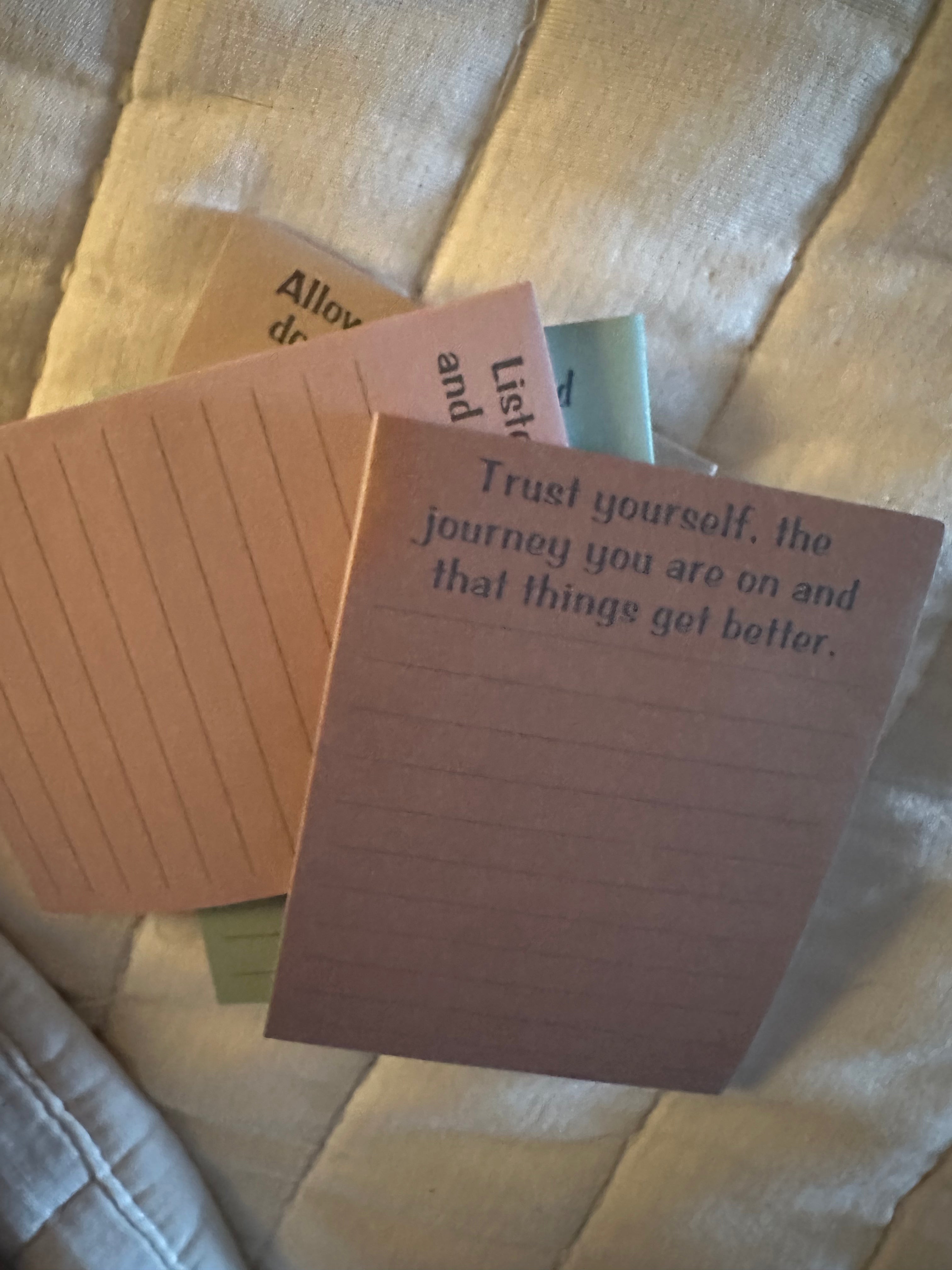 Life Reset | Soft Reset 4-Pack